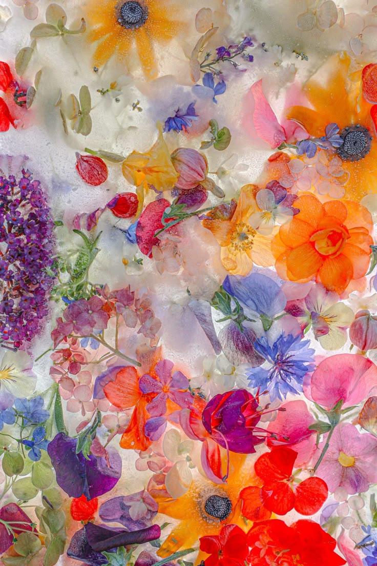 Harmony in Bloom: Chic Pastel Floral Array